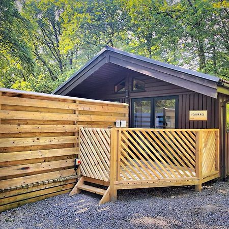 The Squirrel Lodge - Hot Tub - Pet Friendly - Pembrokeshire-Tenby Carmarthen Extérieur photo